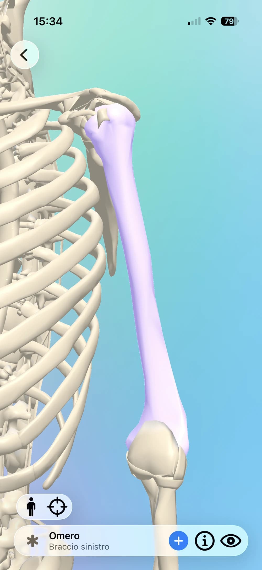 Clino mostra il modello del corpo 3D interattivo